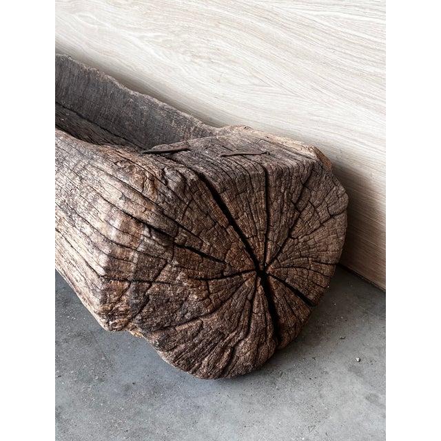 Brown Spanish Antique & Brutalist Hollowed Out Tree Trunk Wooden Planter, 1700 For Sale - Image 8 of 12