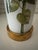 Rare antique engraving of a tilted sunflower with stunning coloration on this decoupage lamp with soft white ground color....