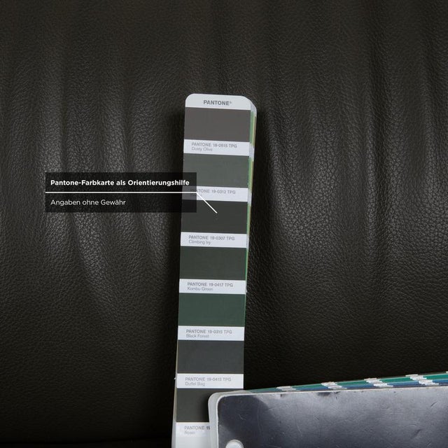 Animal Skin Mayon 3-Seater Sofa in Dark Green Leather from Leolux For Sale - Image 7 of 11