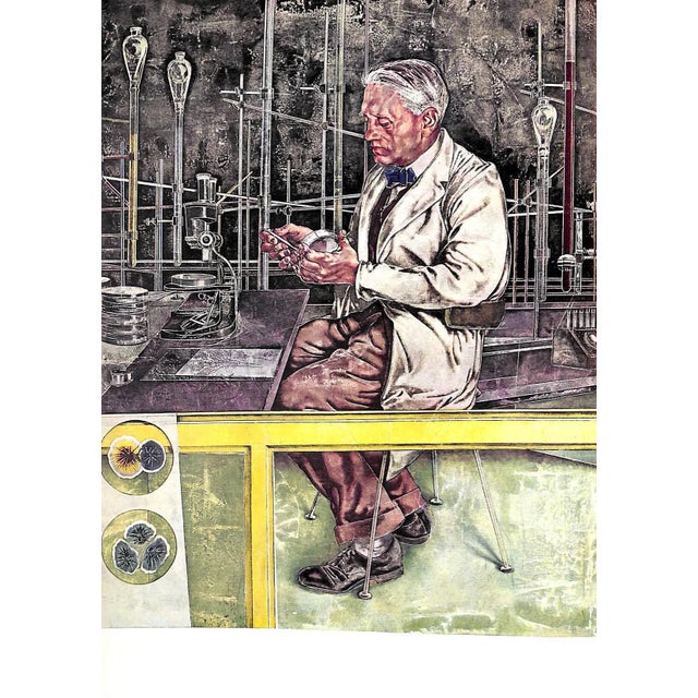 "The Penrose Annual: A Review of the Graphic Arts Volume 52" 1958 Delafons, Allan For Sale - Image 11 of 12