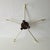 Model No. 70 Ceiling or Wall Light from Erco Leuchten, 1955 For Sale - Image 13 of 14