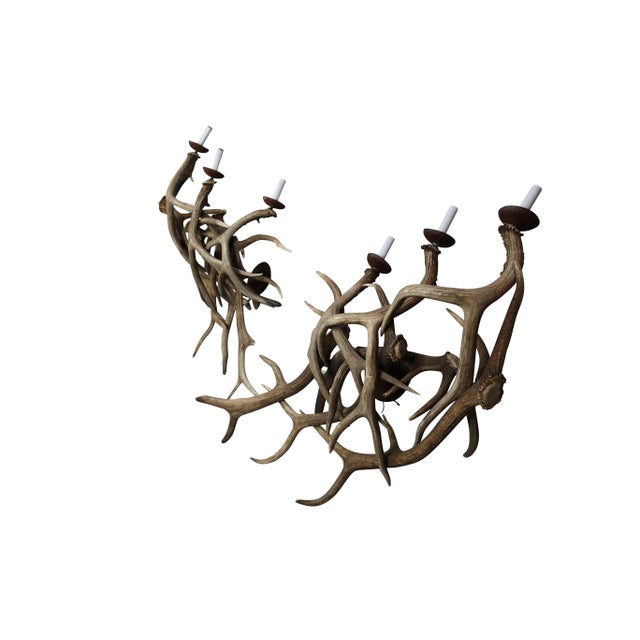 Antler Wall Sconces, Three-Light - A Pair For Sale - Image 4 of 5