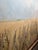 2020s Contemporary Original Oil on Canvas Framed Painting “Wheat Fields and Blue Sky” For Sale - Image 5 of 9