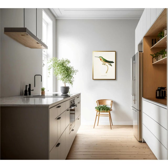 This vibrant hummingbird print is framed beautifully in a gold shadowbox. The bold color will add beauty to any room in...