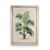 A pair of decorative paintings featuring botanical depictions of palm trees, painted on a crackled background in ivory...
