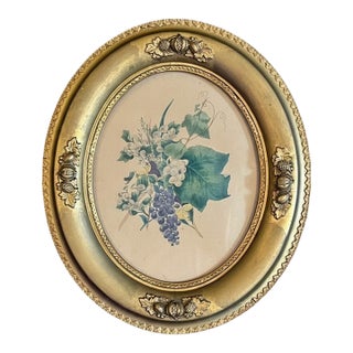 Antique Victorian Botanical Lithograph-Grapes-Oval-Gilt Gesso Wood Frame-Art For Sale