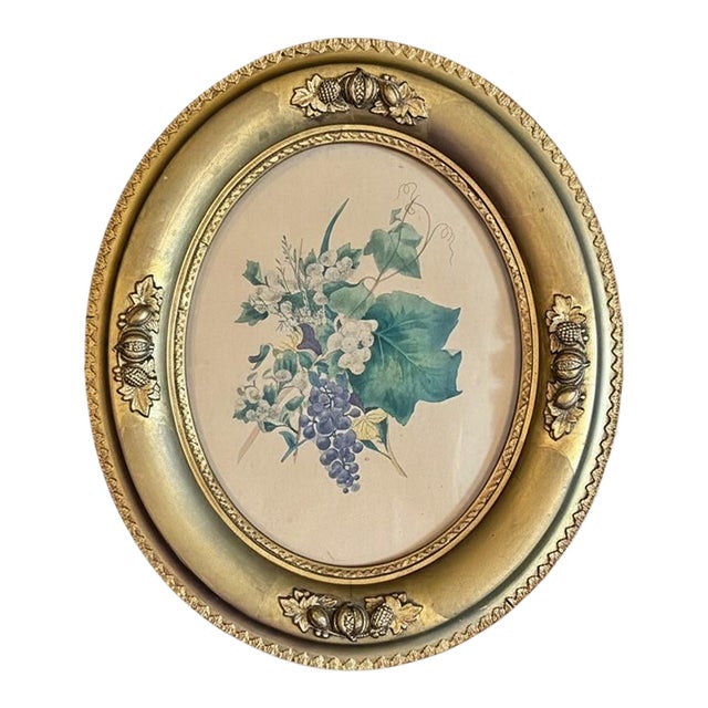 Antique Victorian Botanical Lithograph-Grapes-Oval-Gilt Gesso Wood Frame-Art For Sale