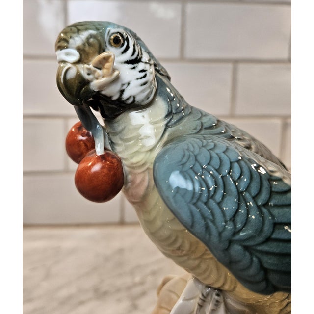 Rare Pair of Karl Ens Parrots For Sale - Image 11 of 17