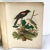 Rare Book Thomas G. Gentry Nests and Eggs of Birds of the United States For Sale - Image 11 of 16