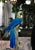 Mid 20th Century Large Mid Century Italian Royal Blue and Yellow Ceramic Hand Painted Majolica Macaw (Parrot) For Sale - Image 5 of 12