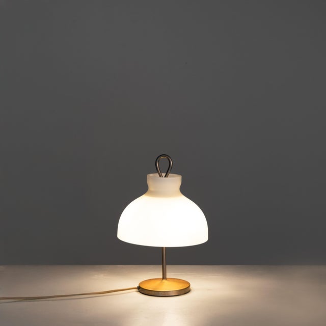 Small Version Arenzano Table Lamp by Ignazio Gardella for Azucena, 1965 For Sale - Image 6 of 8