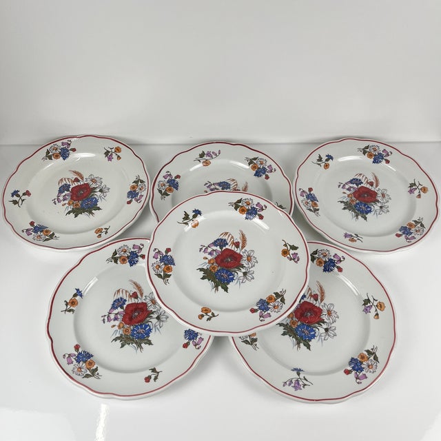 White Vintage Agreste Dinner Plates from Sarreguemines, 1980s, Set of 6 For Sale - Image 8 of 14