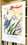 Cy Twombly Original 2002 Royal Botanic Garden Edinburgh Exhibition Poster For Sale - Image 11 of 13