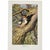 1920s Swedish Natural History Print Gallery - Set of 6 For Sale - Image 4 of 7