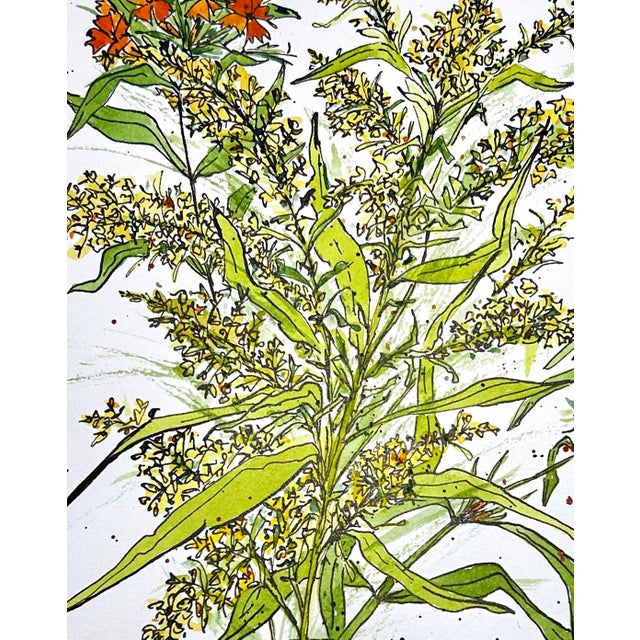 Paper Original Watercolor Painting “Yellow Astilbe and Phlox” For Sale - Image 7 of 7