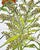 Paper Original Watercolor Painting “Yellow Astilbe and Phlox” For Sale - Image 7 of 7