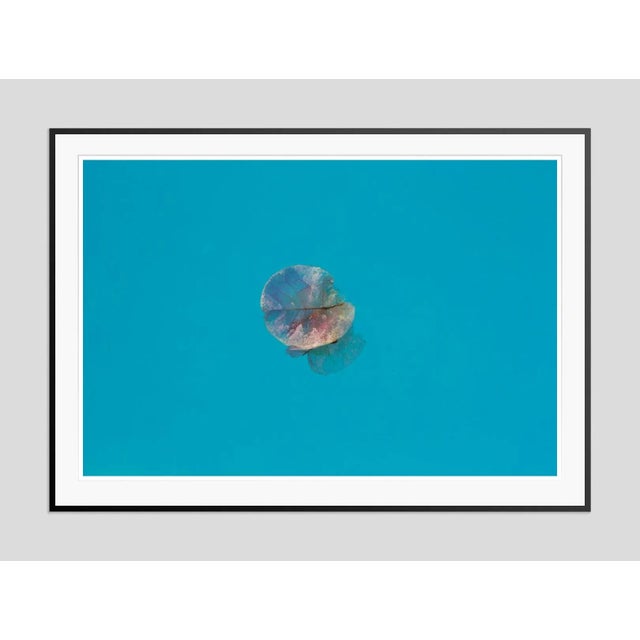 Istan Petal' by Stuart Möller A Bougenvillia petal floats on the surface of a swimming pool. Photo Stuart Christian...