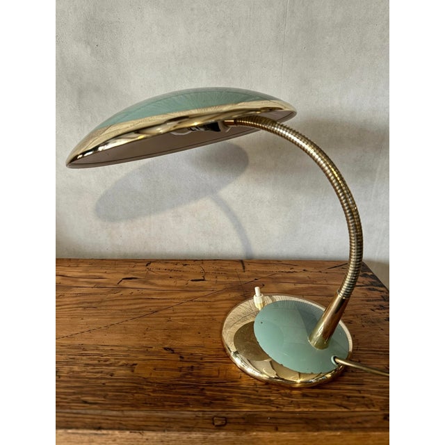 Modern Gooseneck Table Lamp from Hala, 1950s For Sale - Image 3 of 11