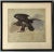 Textile Antonie Fromholz Birnbach (German, 19th C.) Oil Painting on Unstretched Canvas, Portrait of a Full-Bodied Hawk in Profile For Sale - Image 7 of 12