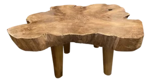 Andrianna Shamaris Mid-Century Style Single Slab Coffee Table