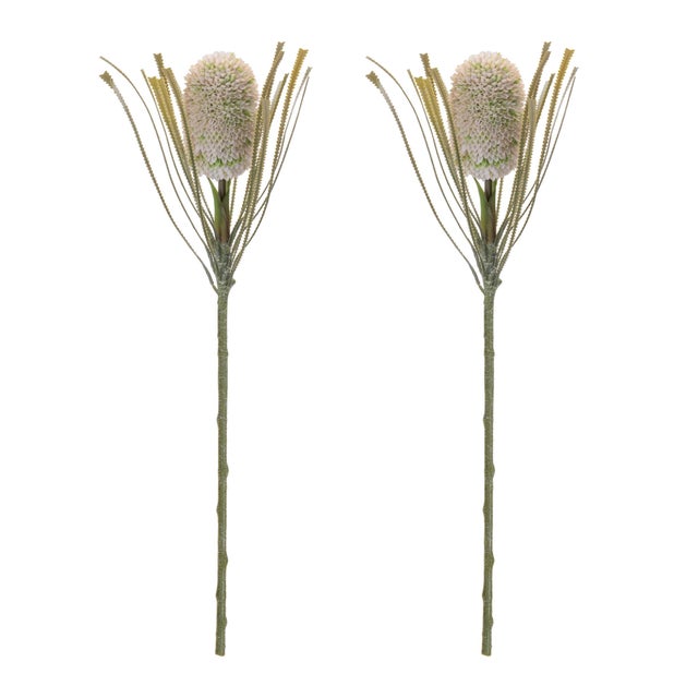 Bring a fresh, natural touch to your decor with this Protea Floral Stem Set. Featuring soft green and white protea florals...