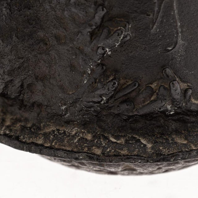 Antique Japanese Cast Iron Seiryudoa Carved Tetsubin Kettle, 1890s For Sale - Image 16 of 18