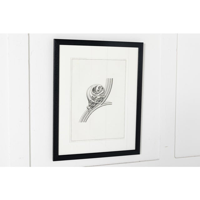 French Artist, Cathedral d'Auch, 1800s, Etchings, Set of 9 For Sale - Image 7 of 11