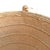 Yanomami Gathering Basket With Head Strap For Sale - Image 10 of 12