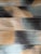 Harlequin Oscillation Adriatic/ Sand Fabric Hmtf133481 Momentum 14 Collection 2 Yards Cotton For Sale - Image 4 of 5