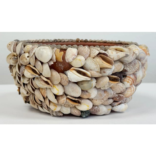 Vintage Shell Encrusted Terra Cotta Pot For Sale - Image 9 of 10
