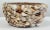 Vintage Shell Encrusted Terra Cotta Pot For Sale - Image 9 of 10