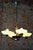 Art Deco Chandelier in Chromed Steel, Beech and Opal Glass, Czech, 1920s For Sale - Image 3 of 13