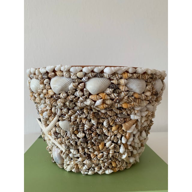 Shell Encrusted Terracotta Cachepot For Sale - Image 4 of 4