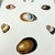 Set of 3 Early 19th-Century Hand-Colored Sowerby Shell Studies in Walnut Frames For Sale - Image 9 of 10