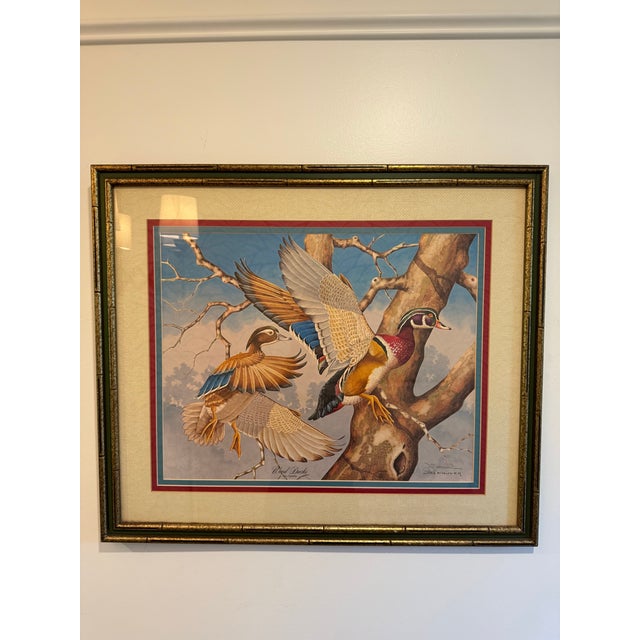 Wood 1980s Signed Jim Oliver Print of 2 Wood Ducks in Gorgeous Gold Bamboo Frame For Sale - Image 7 of 11