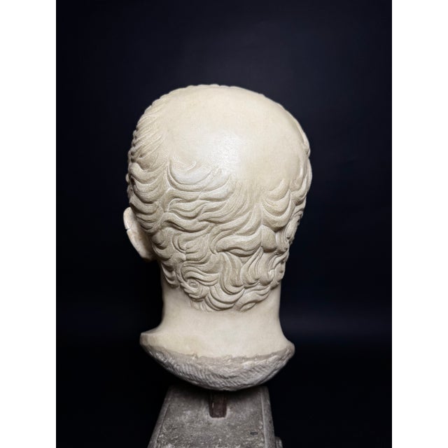 Head of Marcus Tullius Cicero, Late 18th Century, Marble For Sale - Image 18 of 18