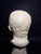Head of Marcus Tullius Cicero, Late 18th Century, Marble For Sale - Image 18 of 18
