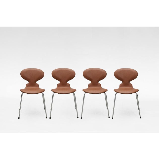 Series 7 Model 3107 Dining Chairs in Cognac Leather by Arne Jacobsen for Fritz Hansen, Set of 4 For Sale - Image 6 of 6