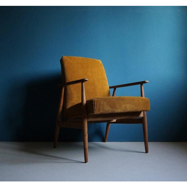 Vintage Armchair From Mid Century, Dark Mustard, Restored For Sale - Image 6 of 7