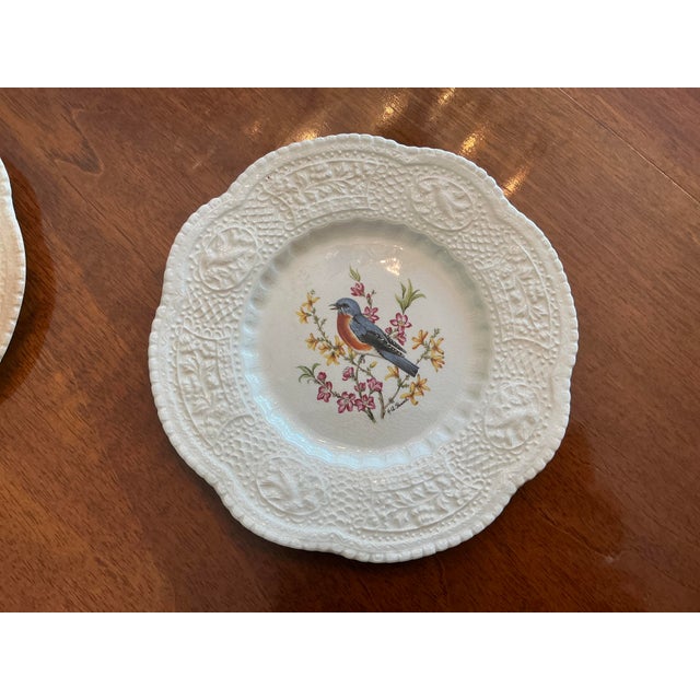 Antique White Royal Cauldon Bristol Ironstone “Aviary” Bird Plates by h.a. Pausch, Set of 8, Mid-Century For Sale - Image 8 of 13
