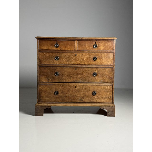 English Oak Chest of Drawers, 19th Century For Sale - Image 14 of 14
