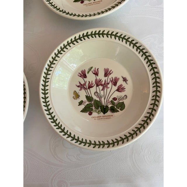 2010s Botanic Garden by Portmeirion Rim Soup Bowls, England - 8.5” Diameter at the Rim, Set of 4 For Sale - Image 4 of 13
