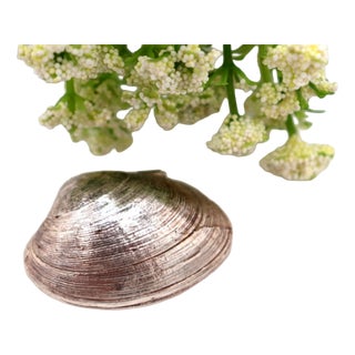 Silver Clam-Shaped Pill Box For Sale