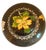 Mid 20th Century Chinese Black Cloissone 8” Lidded Ginger Jar With Colorful Peony Motif For Sale In Washington DC - Image 6 of 12