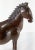 19th Century and Rare Chinese Carved Huanghuali Rosewood Horse For Sale In New York - Image 6 of 13