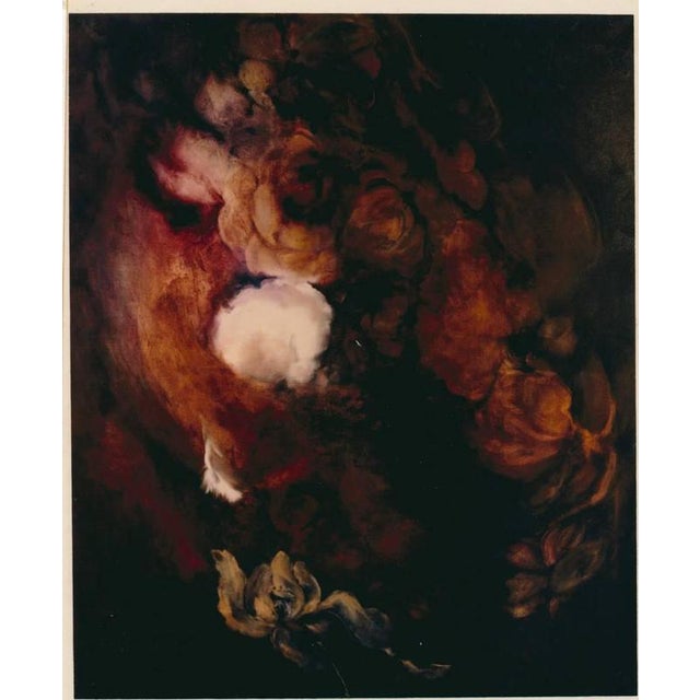 Anna Ramenghi, Flower of Eros, 1990s, Oil Painting on Canvas For Sale