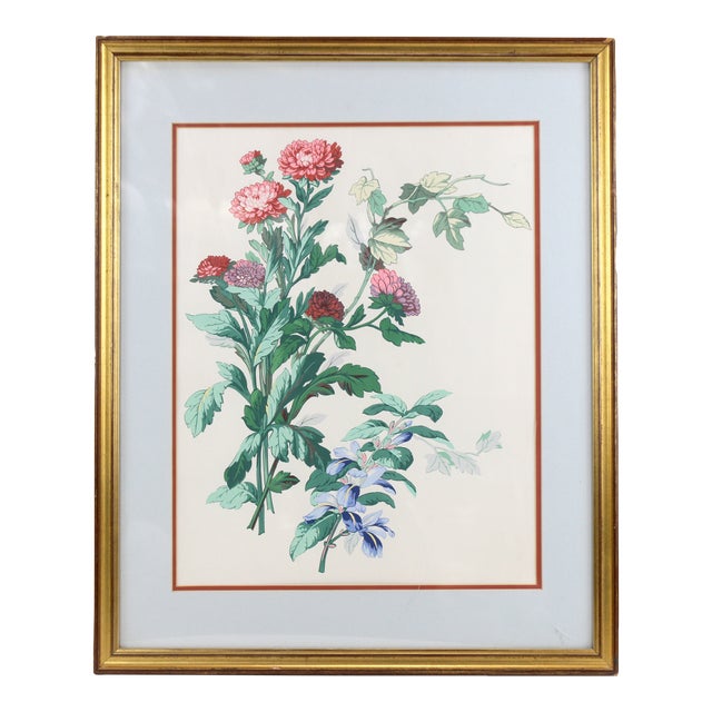 Hand-Painted Watercolor Flower Specimen Painting, For Sale
