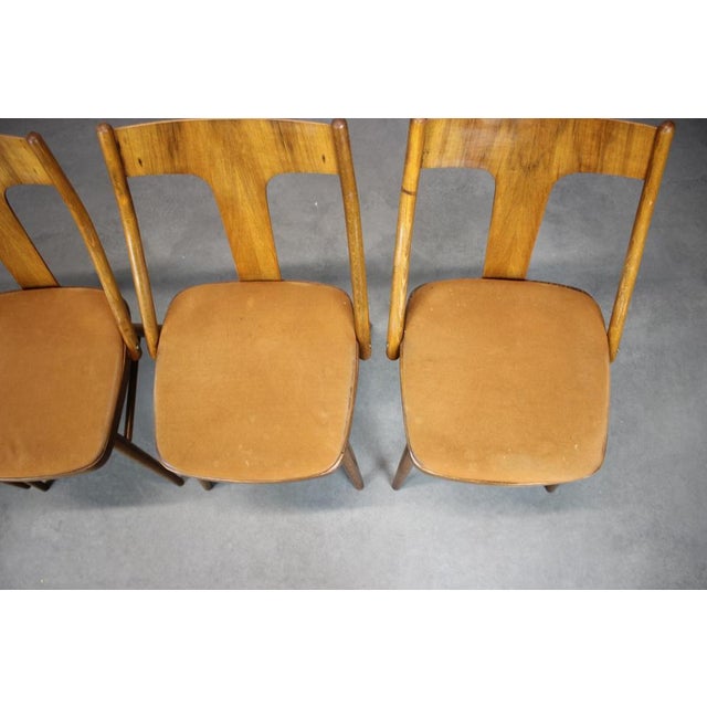 Vintage Czechoslovakian Dining Chairs in Walnut, 1950s, Set of 4 For Sale - Image 3 of 12