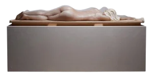 Nude Lady, 2000s, Wax Figure in Acrylic Glass