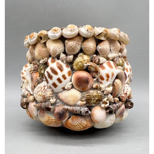 Vintage Hawaiian Seashell-Encrusted Terracotta Cachepot Planter For Sale - Image 10 of 10